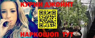 дурь Сланцы
