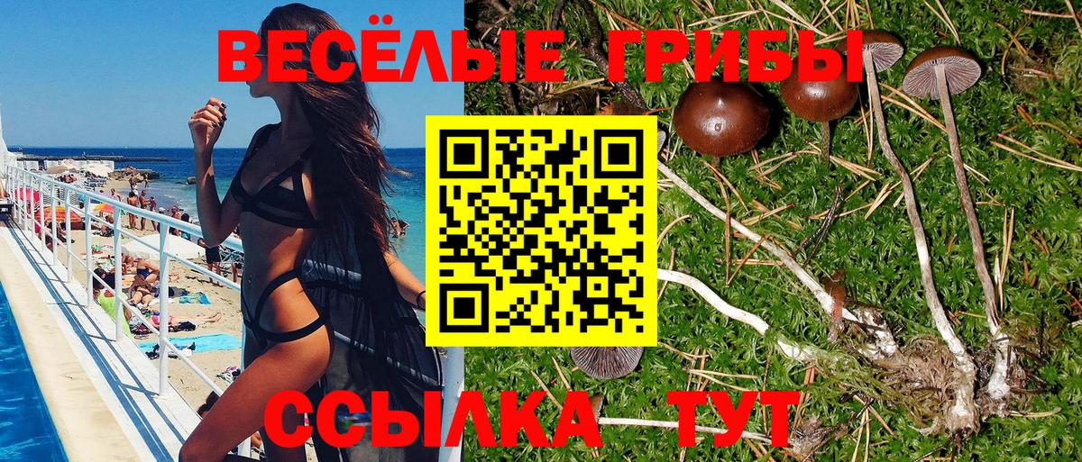 Псилоцибиновые грибы Psilocybine cubensis  Вход с VPN  Печора 